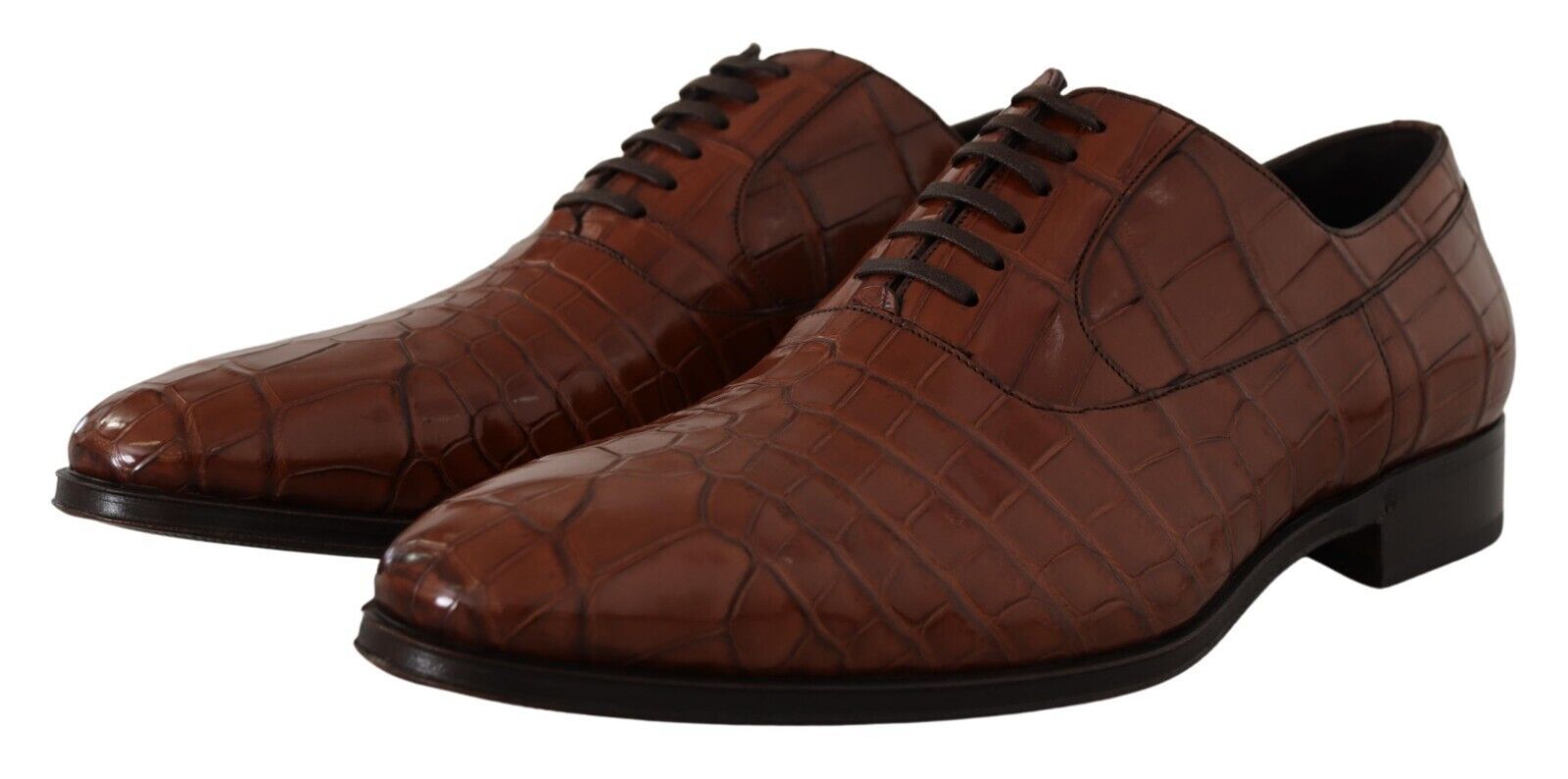Dolce &amp; Gabbana Brown Crocodile Leather Men's Derby Shoes