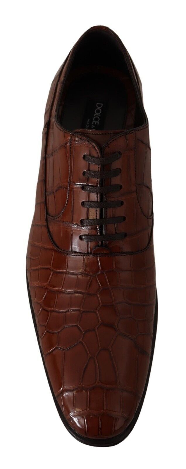 Dolce &amp; Gabbana Brown Crocodile Leather Men's Derby Shoes