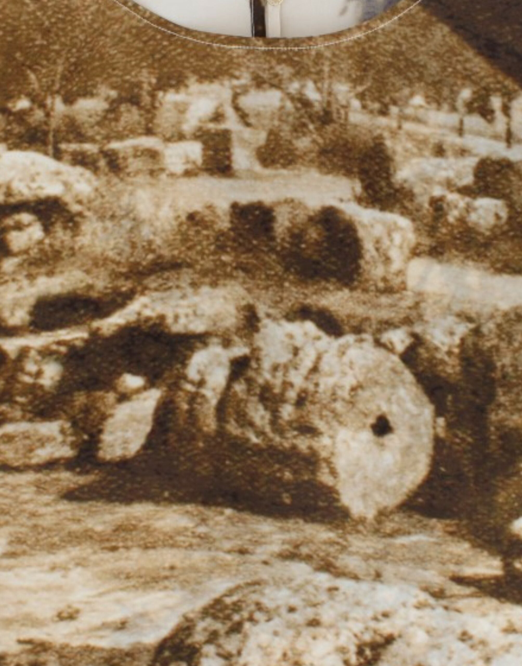 Dolce &amp; Gabbana Kahverengi Taormina ipek bluz